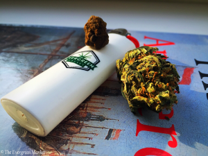 hash bud marijuana cannabis amsterdam evergreen market