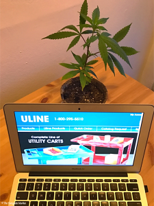 ULINE attacks cannabis industry and The Evergreen Market changes vendors.