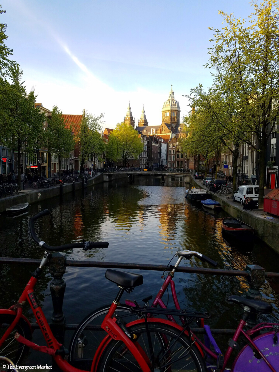 Amsterdam canal with bikes