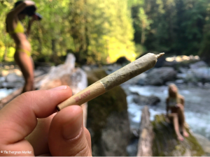 hike cannabis photography seattle