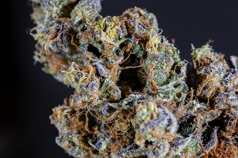 Rozay Sherbert from Nebula gardens is one of the great selections at our renton and auburn locations