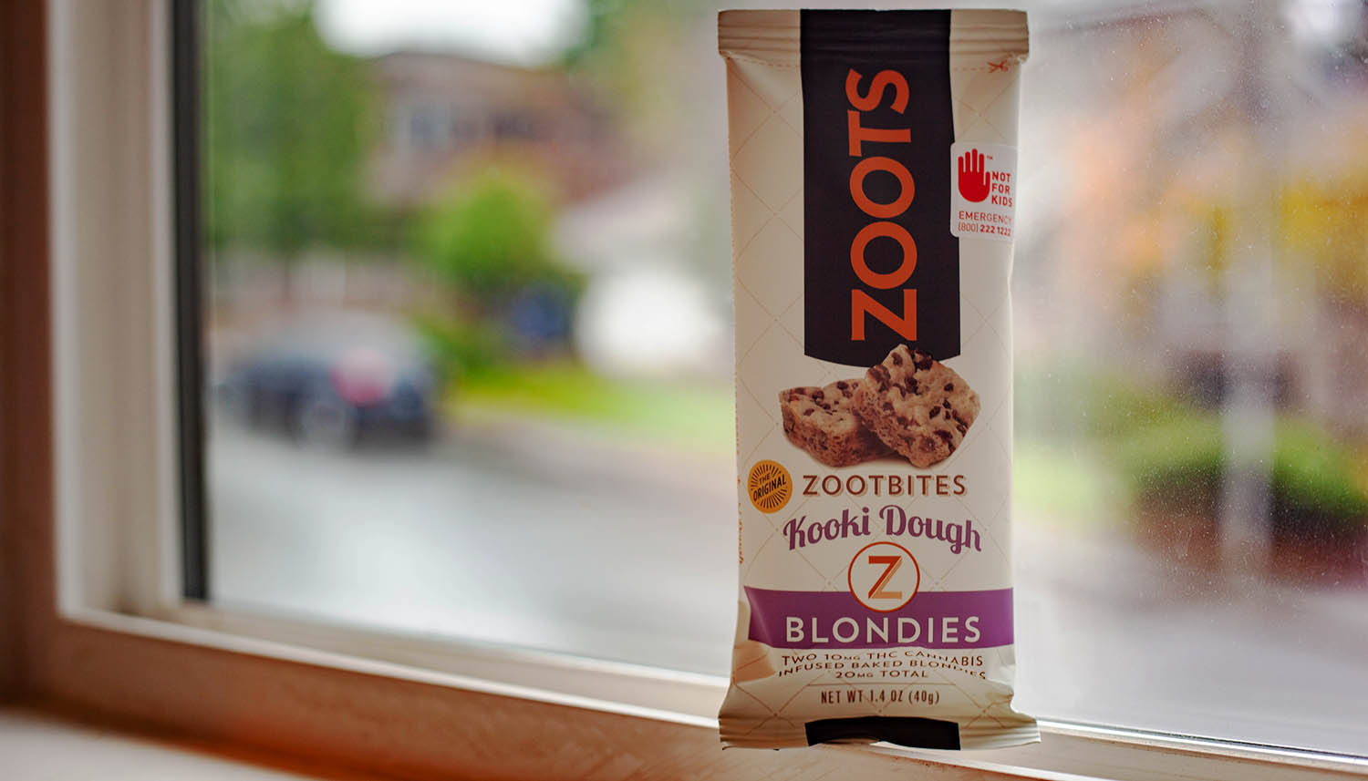 Zoots blondies are the perfect adventure for not leaving your house.