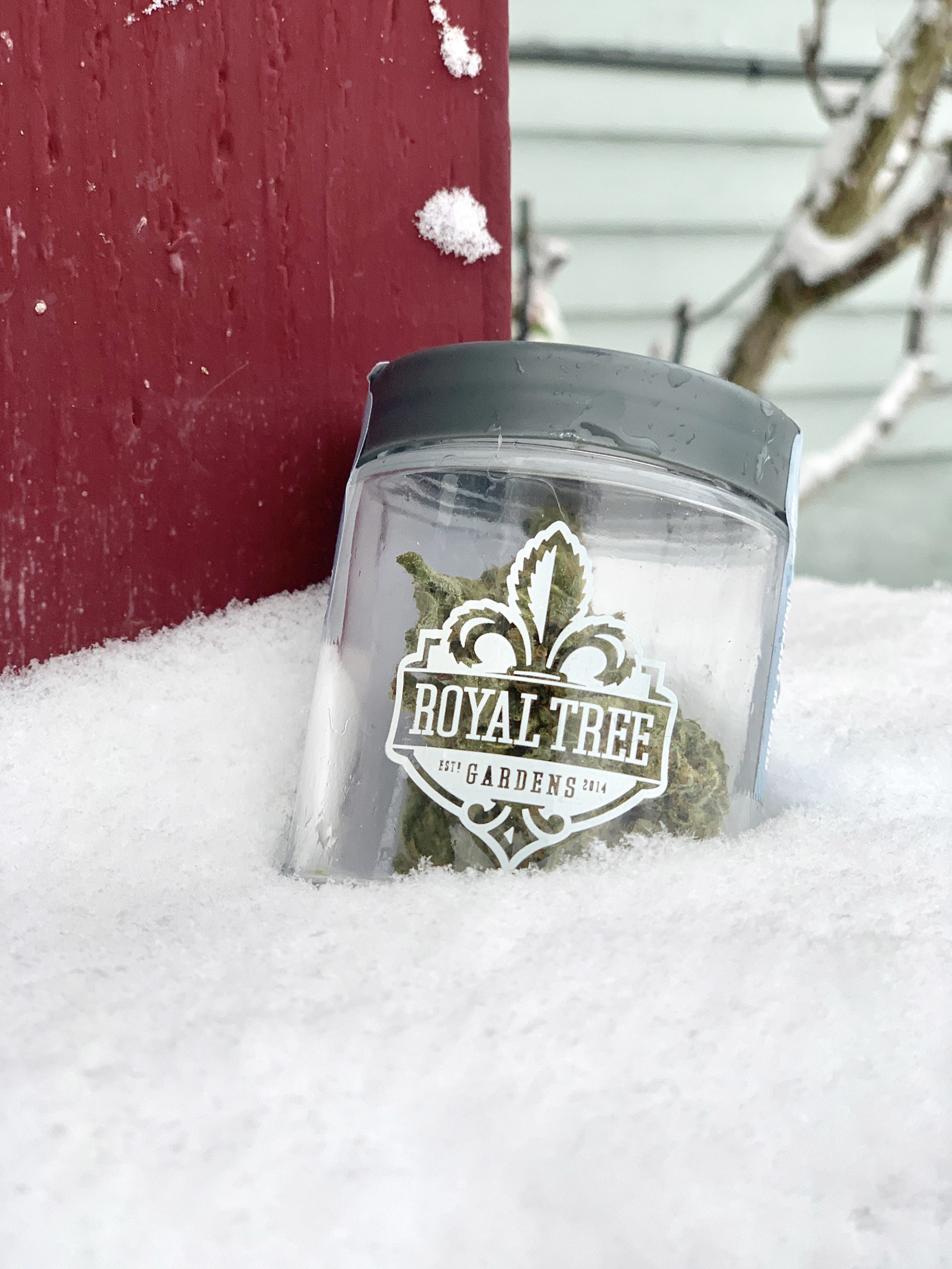 A jar of Royal Tree Gardens set against the snowy outside.