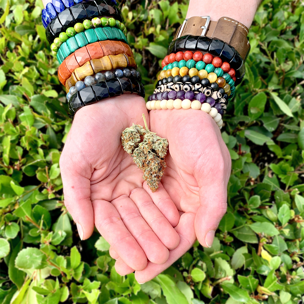 A handful of Sirius Buds flower will brighten any day whether you're in Renton, Auburn, Kirkland, Bellevue, or Kent!