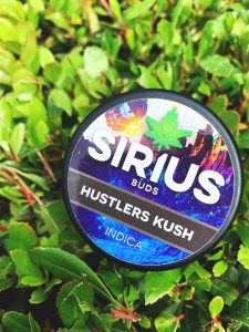 We're thrilled with our new arrivals from Sirius Buds.