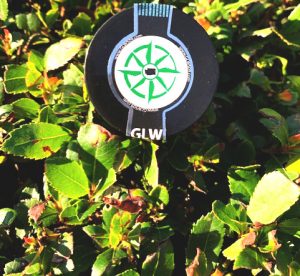 GLW grows weed in Spokane and delivers around WA state